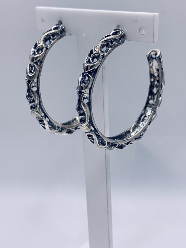 Orecchini Cerchio in Argento